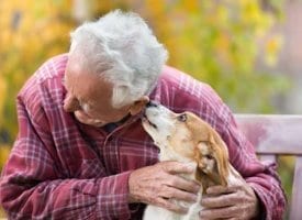 Emotional Support Animal Kissing Man